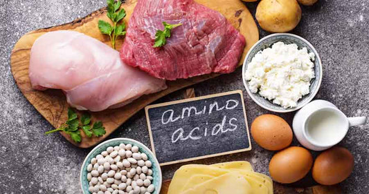 Glycine Nutrition Advice - Glycine Supplementation