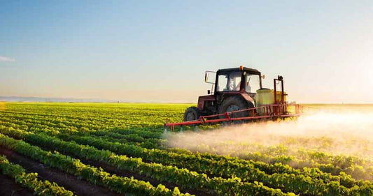 How to remove Glyphosate
