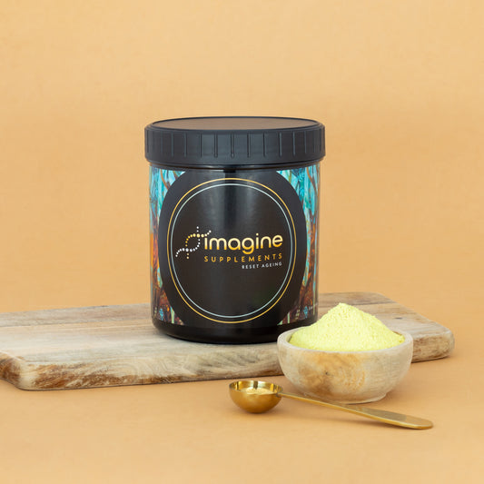 Daily Blend - 16 Ingredients - 90-day supply